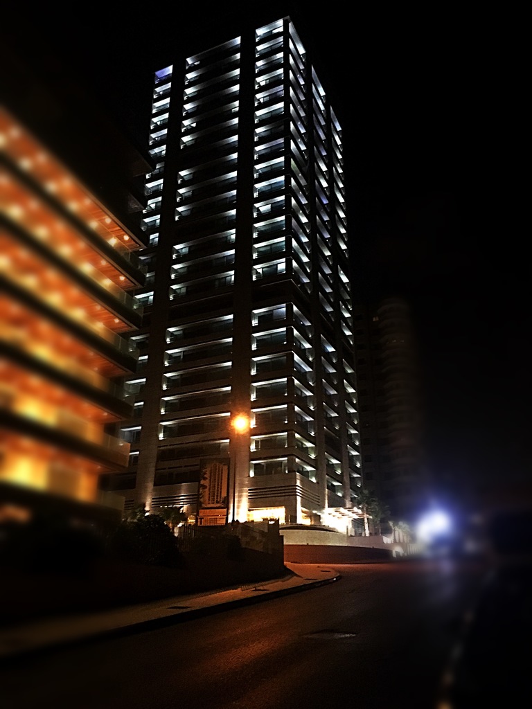 Palo Tower project photo 6