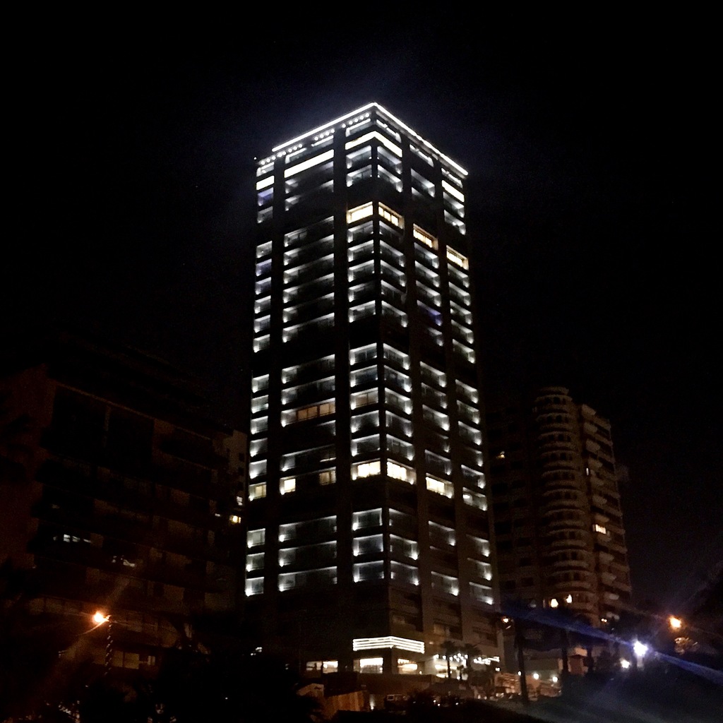 Palo Tower project photo 10