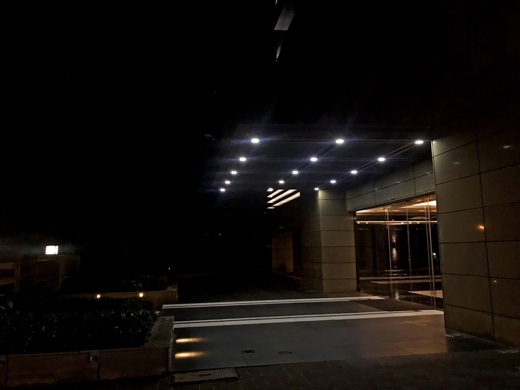 Palo Tower project photo 40